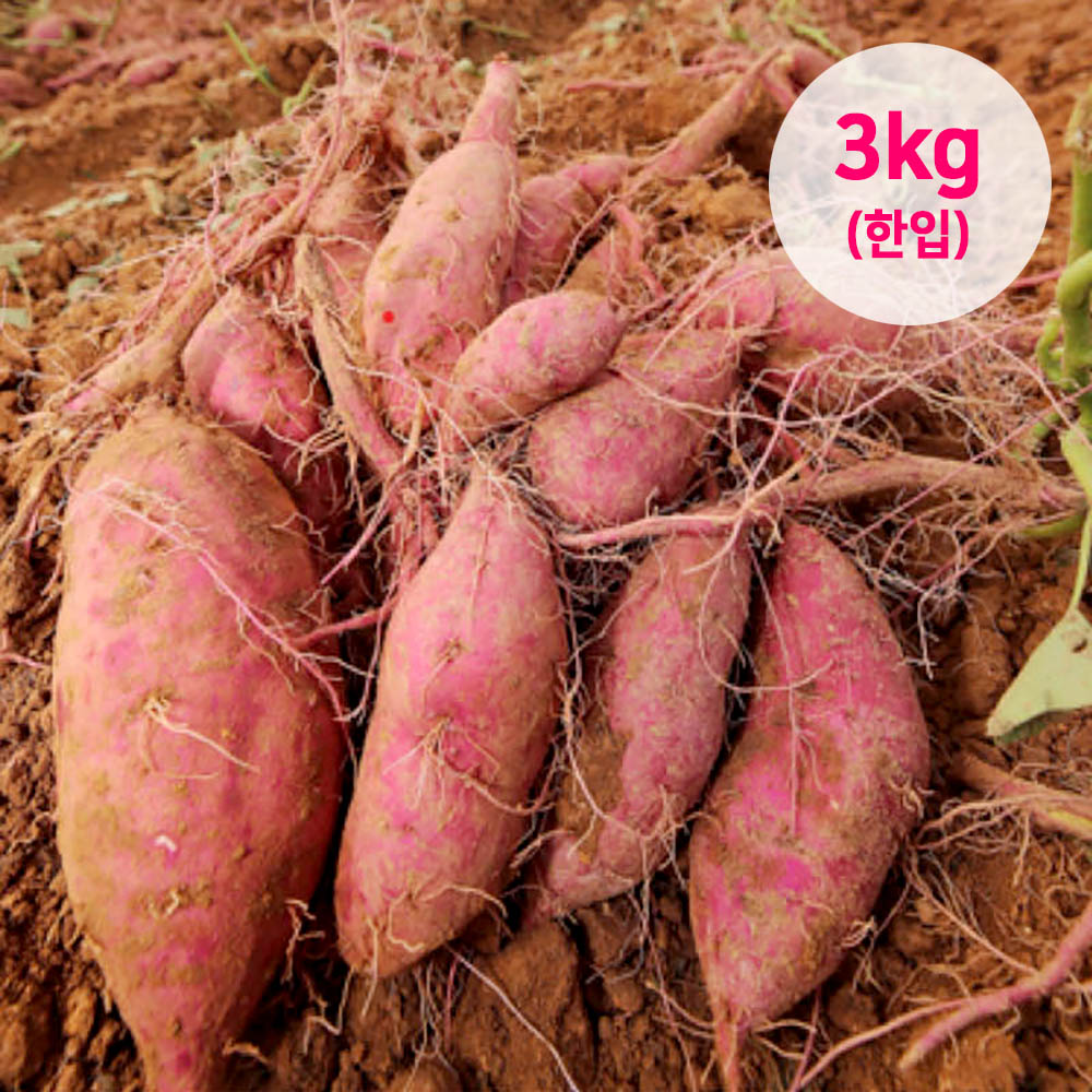 1691722310 thumbnail