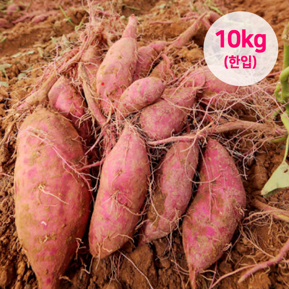 1691722312 thumbnail