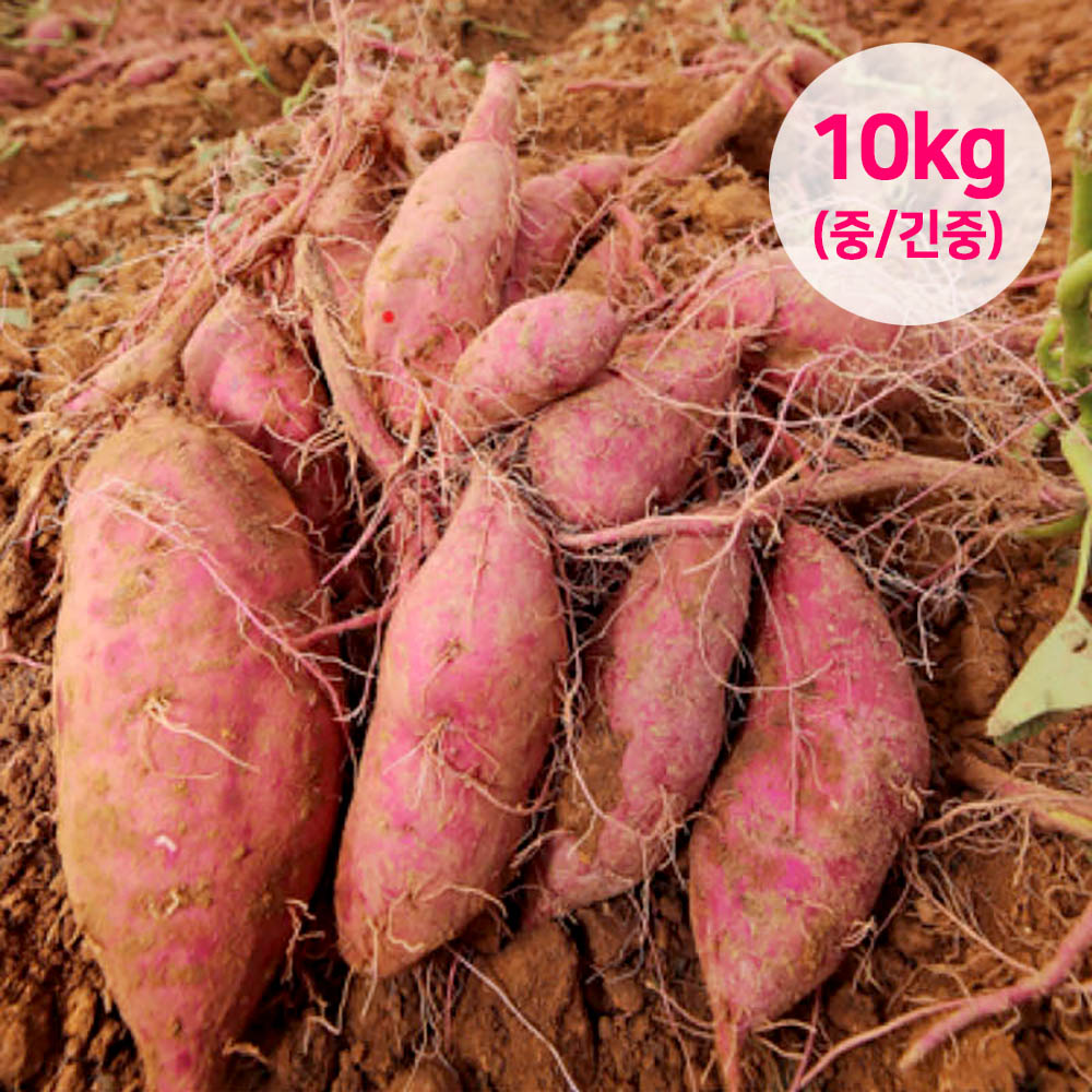 1691722315 thumbnail