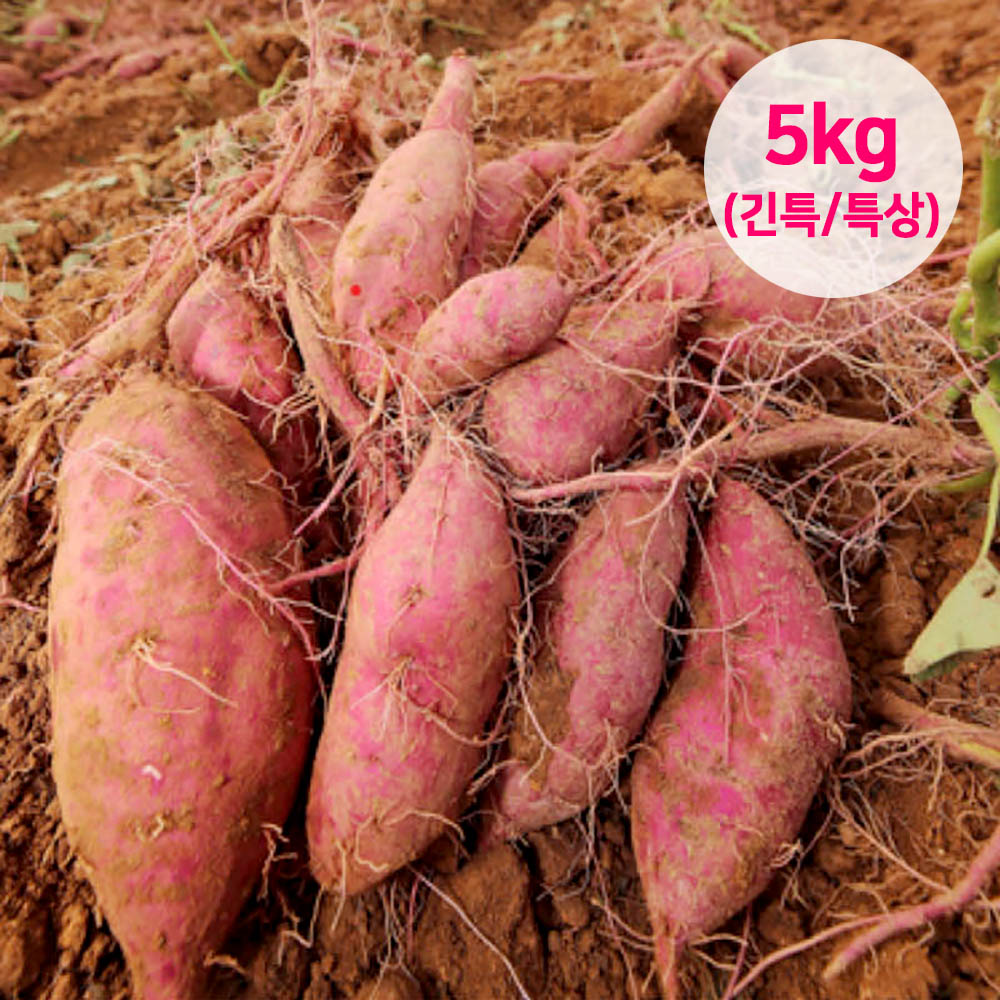 1691722317 thumbnail