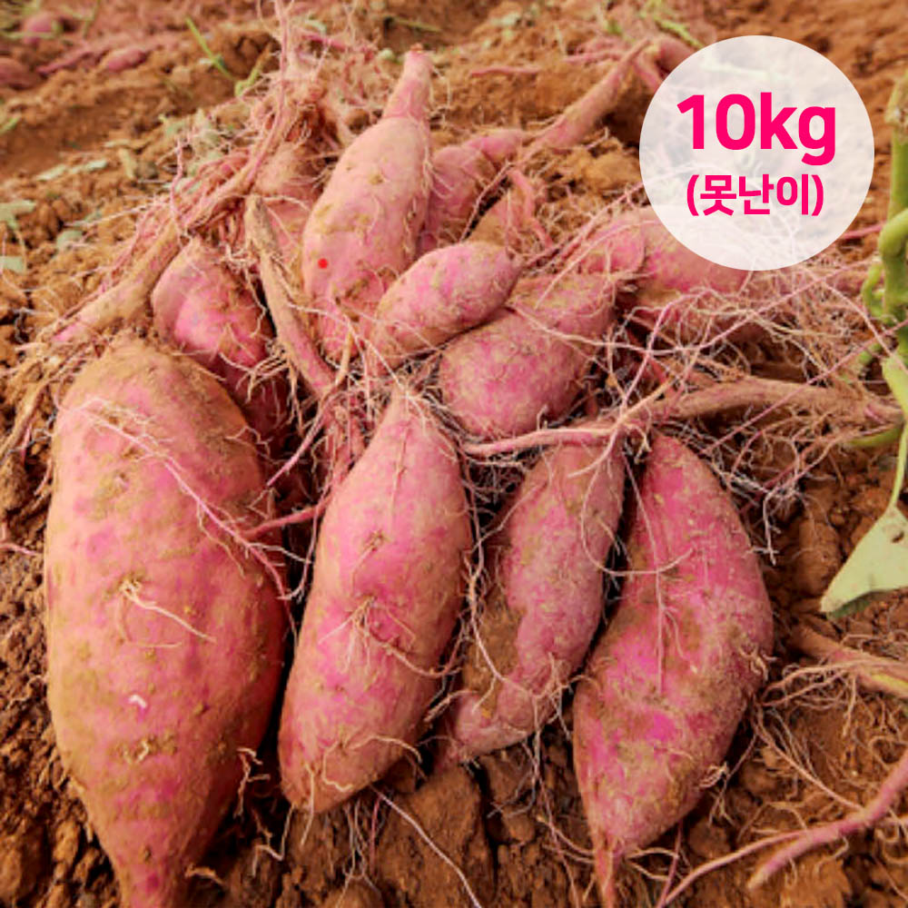 1691722319 thumbnail