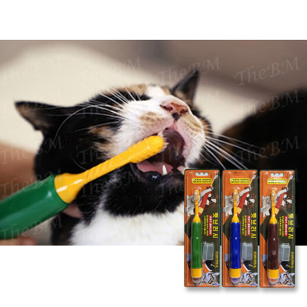 1692150237 thumbnail