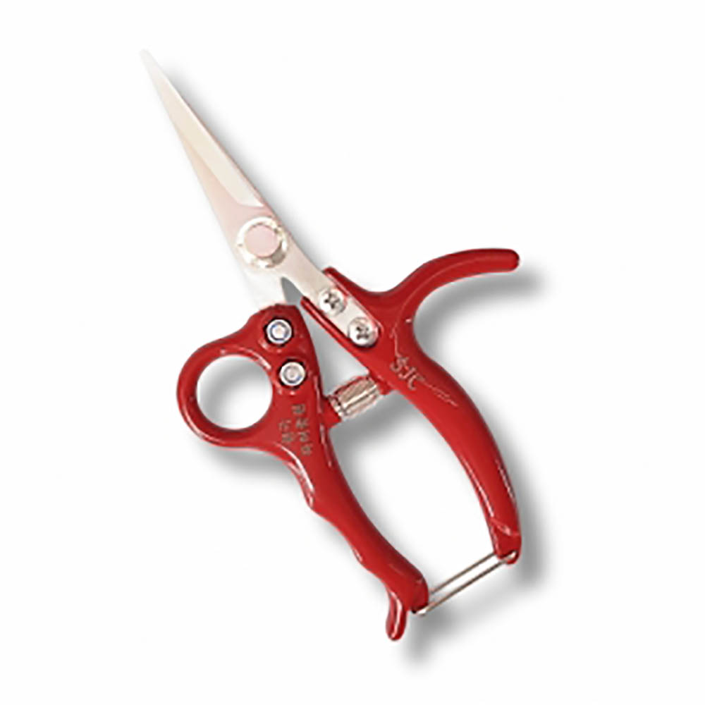 1692164441 thumbnail