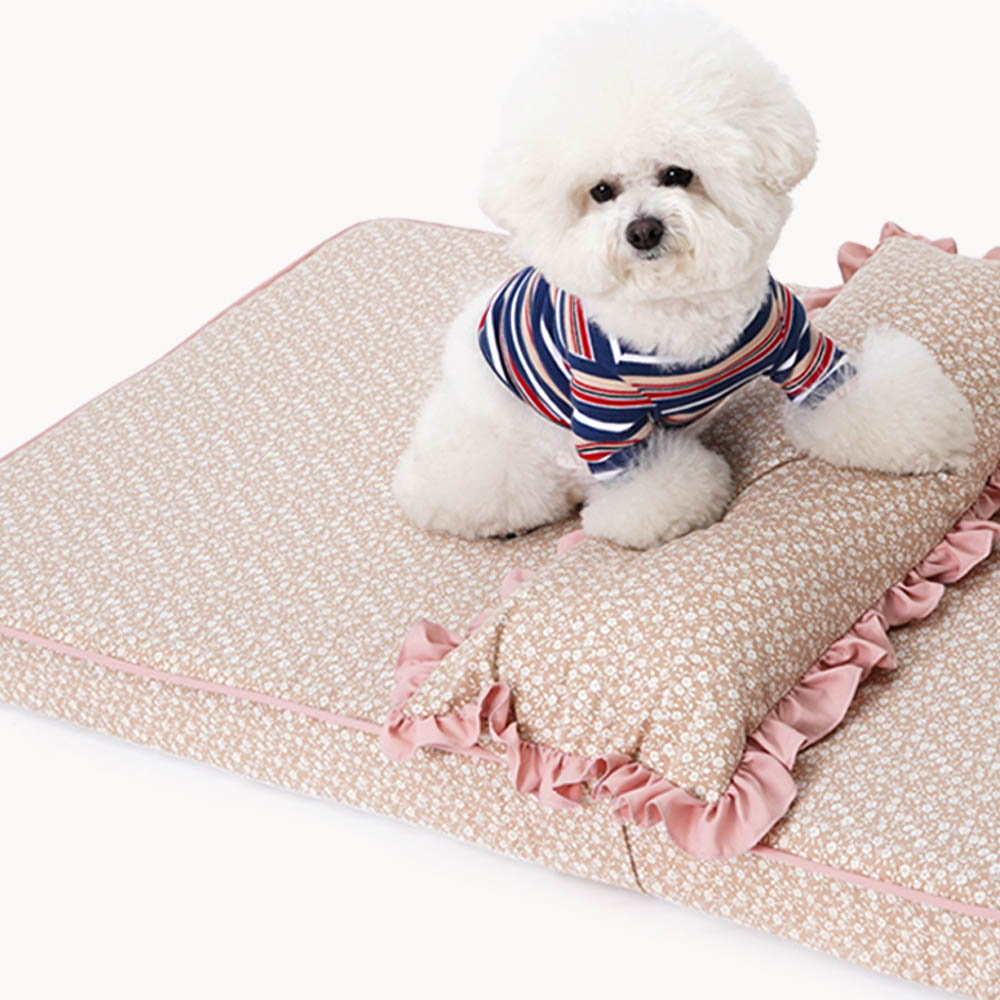 1692172723 thumbnail