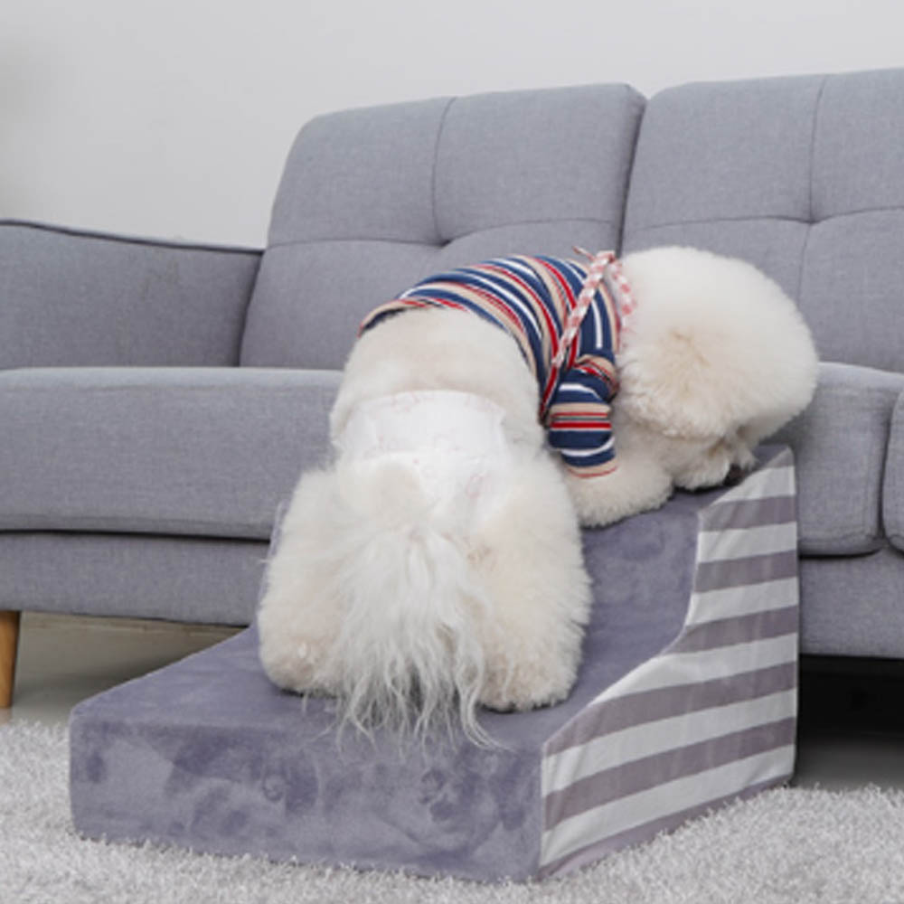 1692172725 thumbnail