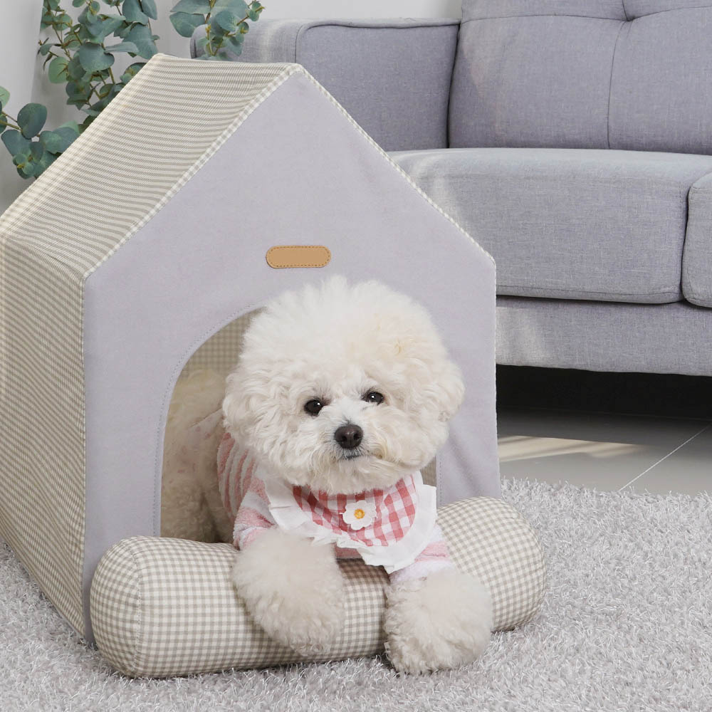 1692172729 thumbnail