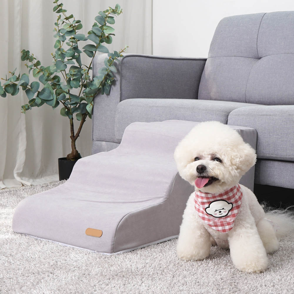 1692172737 thumbnail