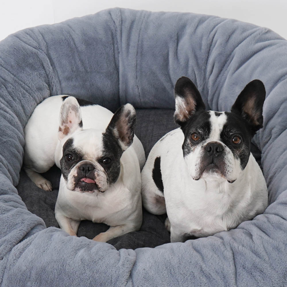 1692172739 thumbnail