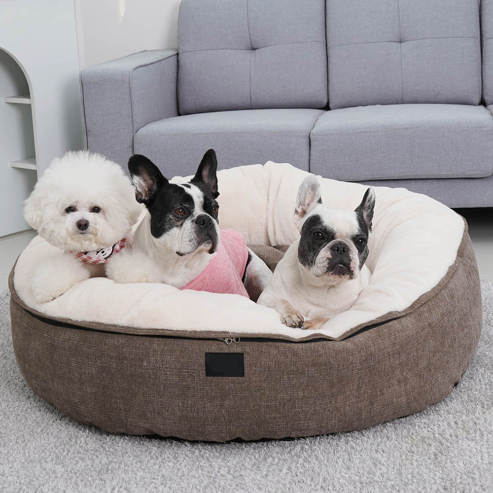 1692172740 thumbnail