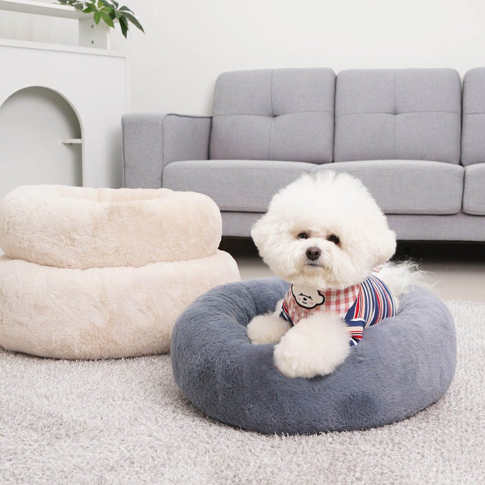 1692172741 thumbnail