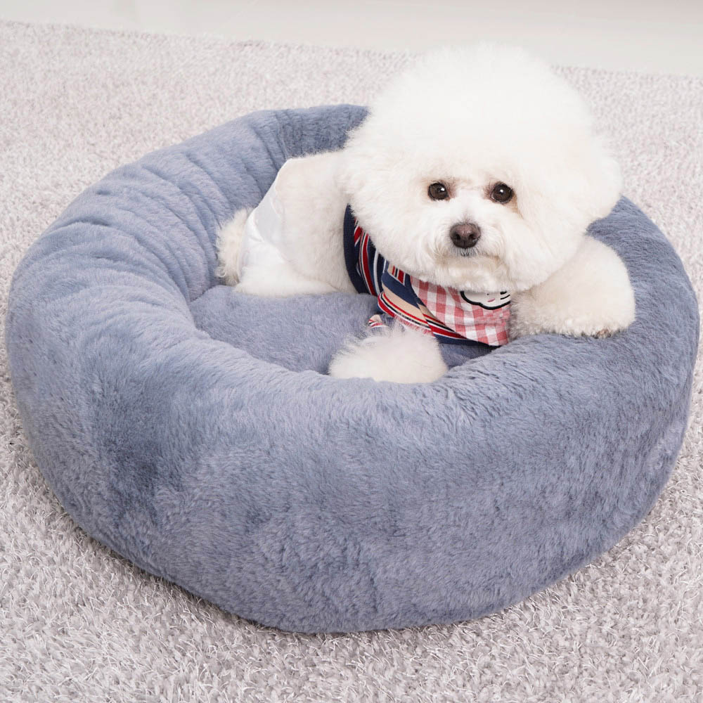 1692172742 thumbnail