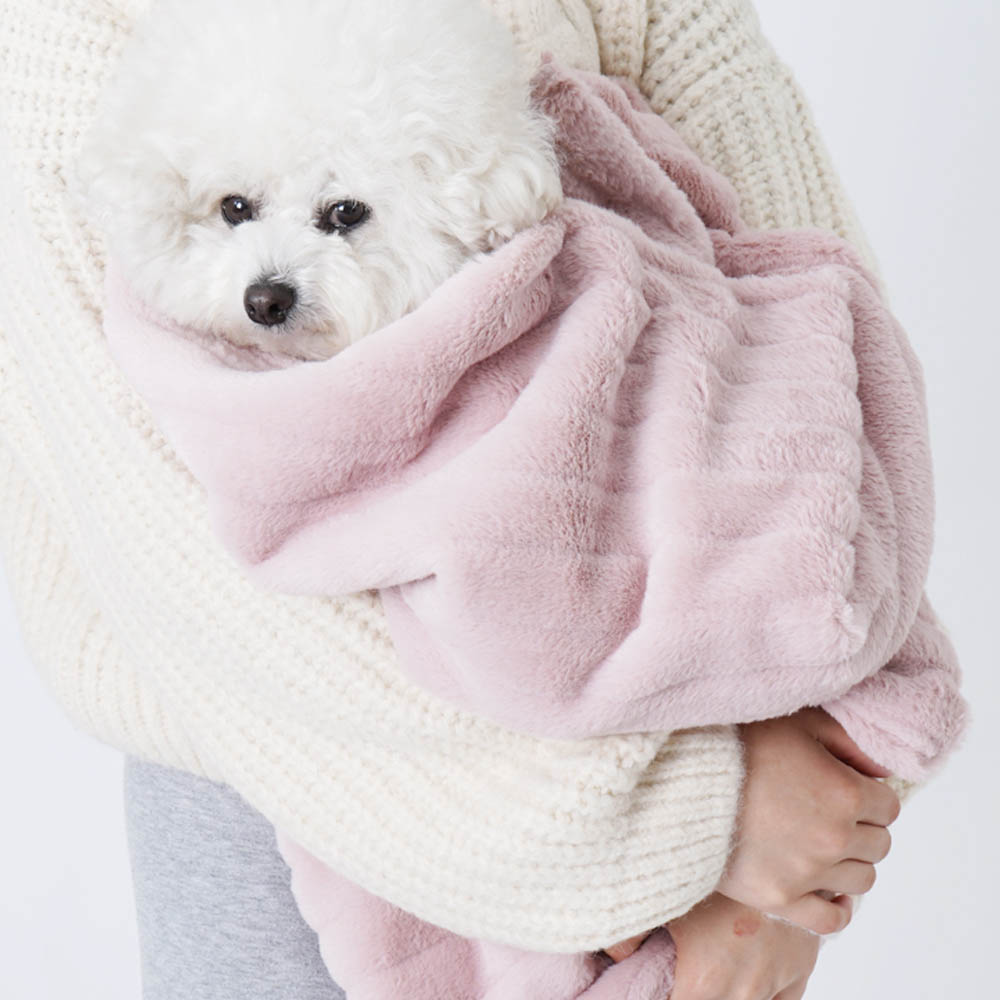 1692172750 thumbnail