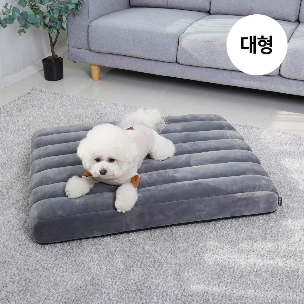 1692172761 thumbnail