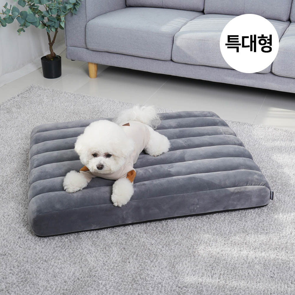 1692172762 thumbnail