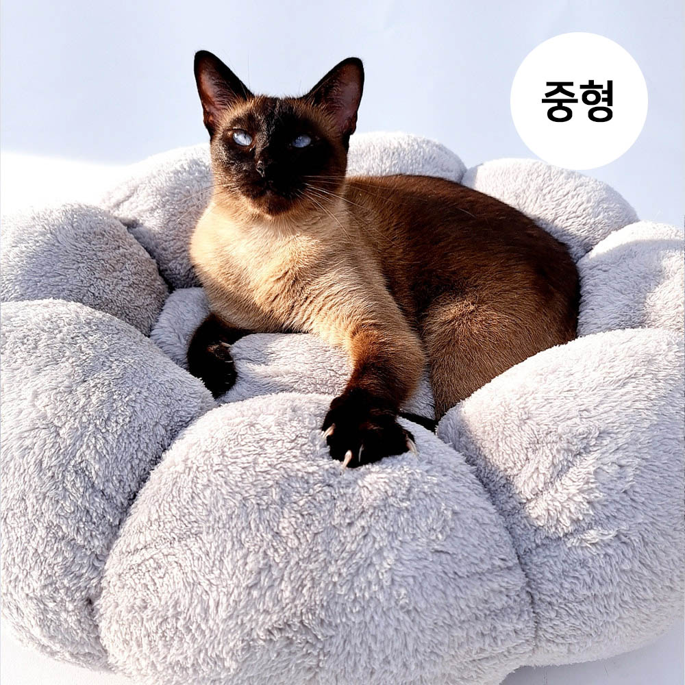 1692172775 thumbnail