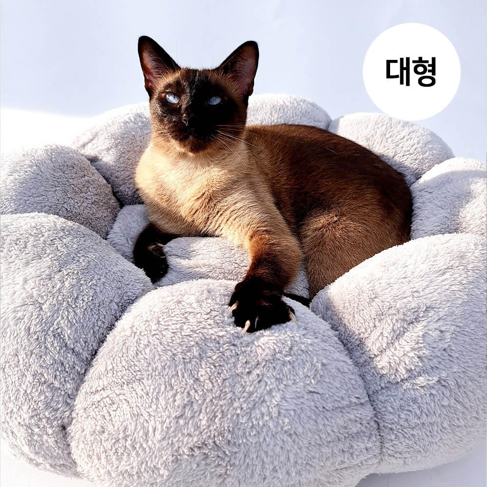 1692172776 thumbnail