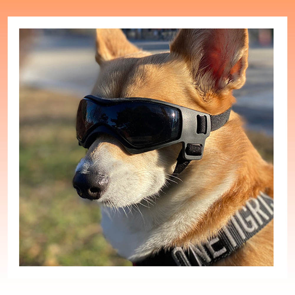 1692172779 thumbnail