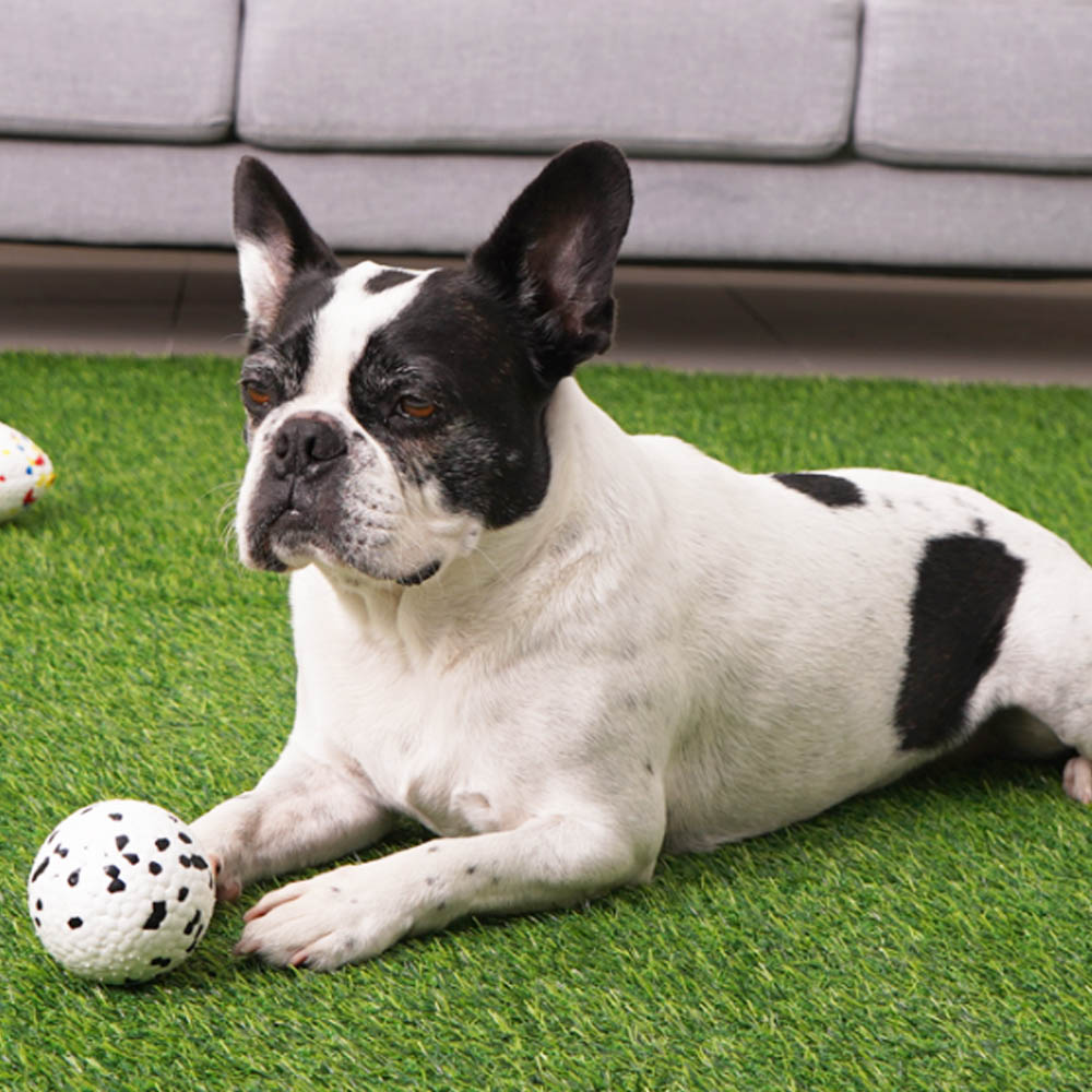 1692172780 thumbnail