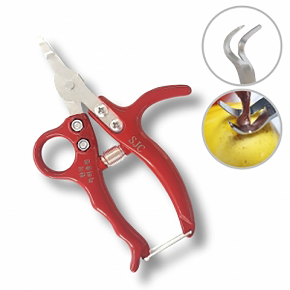 1692253150 thumbnail