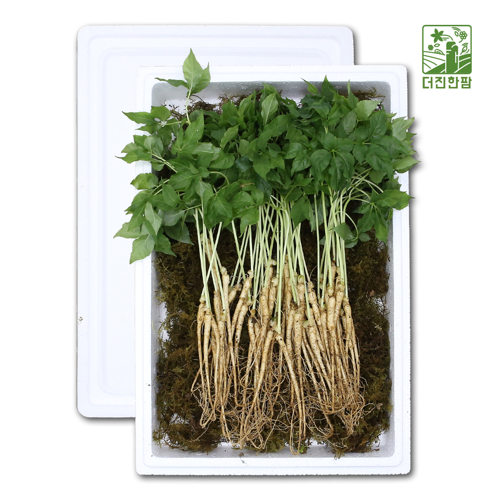 1692347667 thumbnail