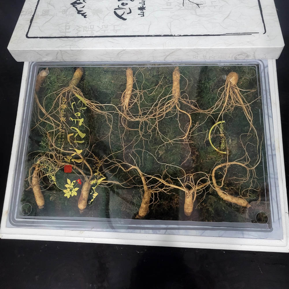 1692349430 thumbnail