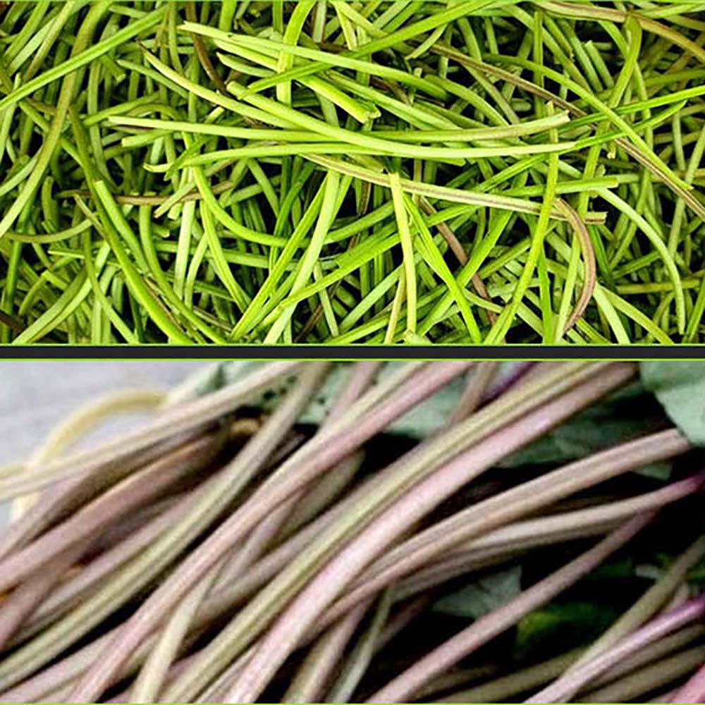 1692680376 thumbnail