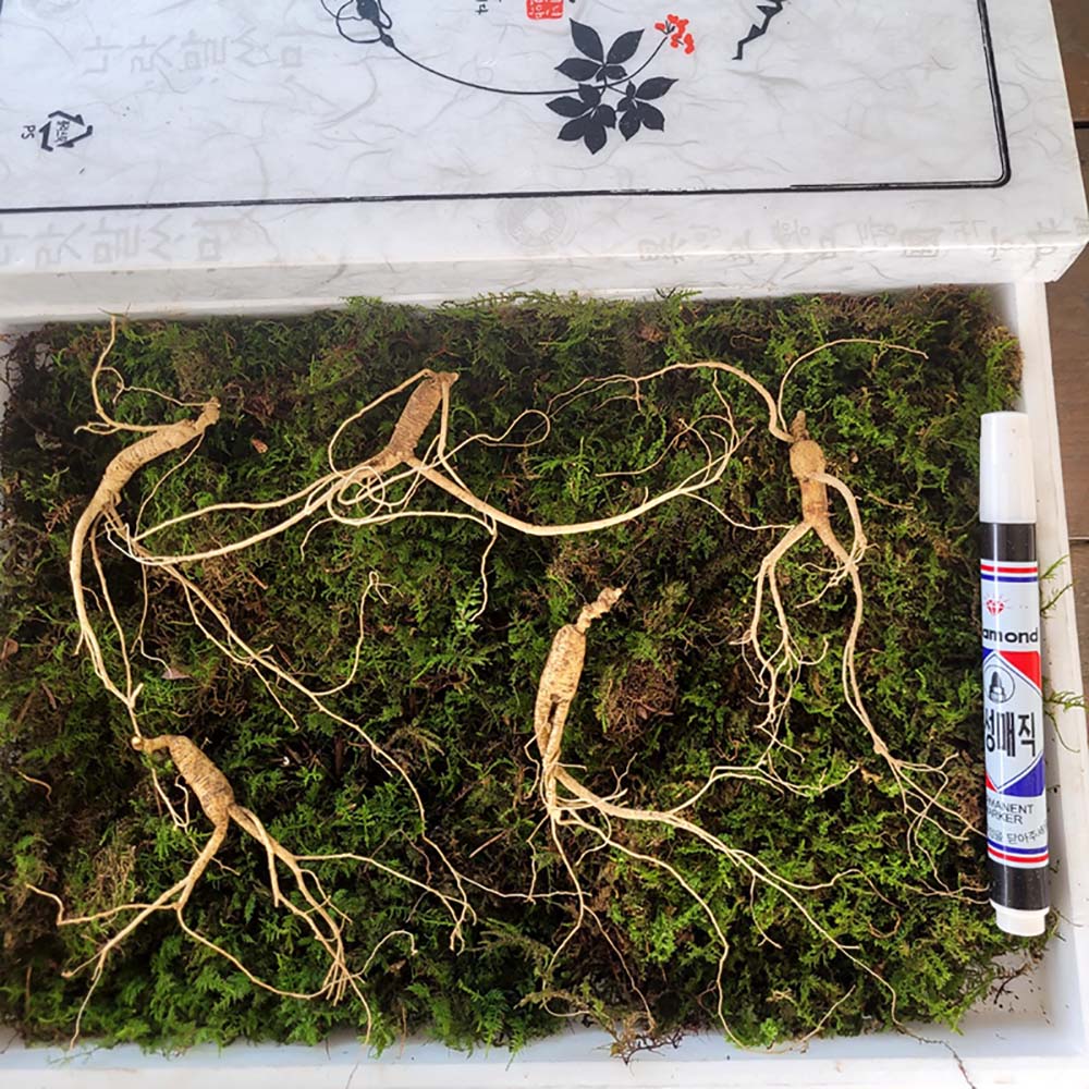 1692680378 thumbnail