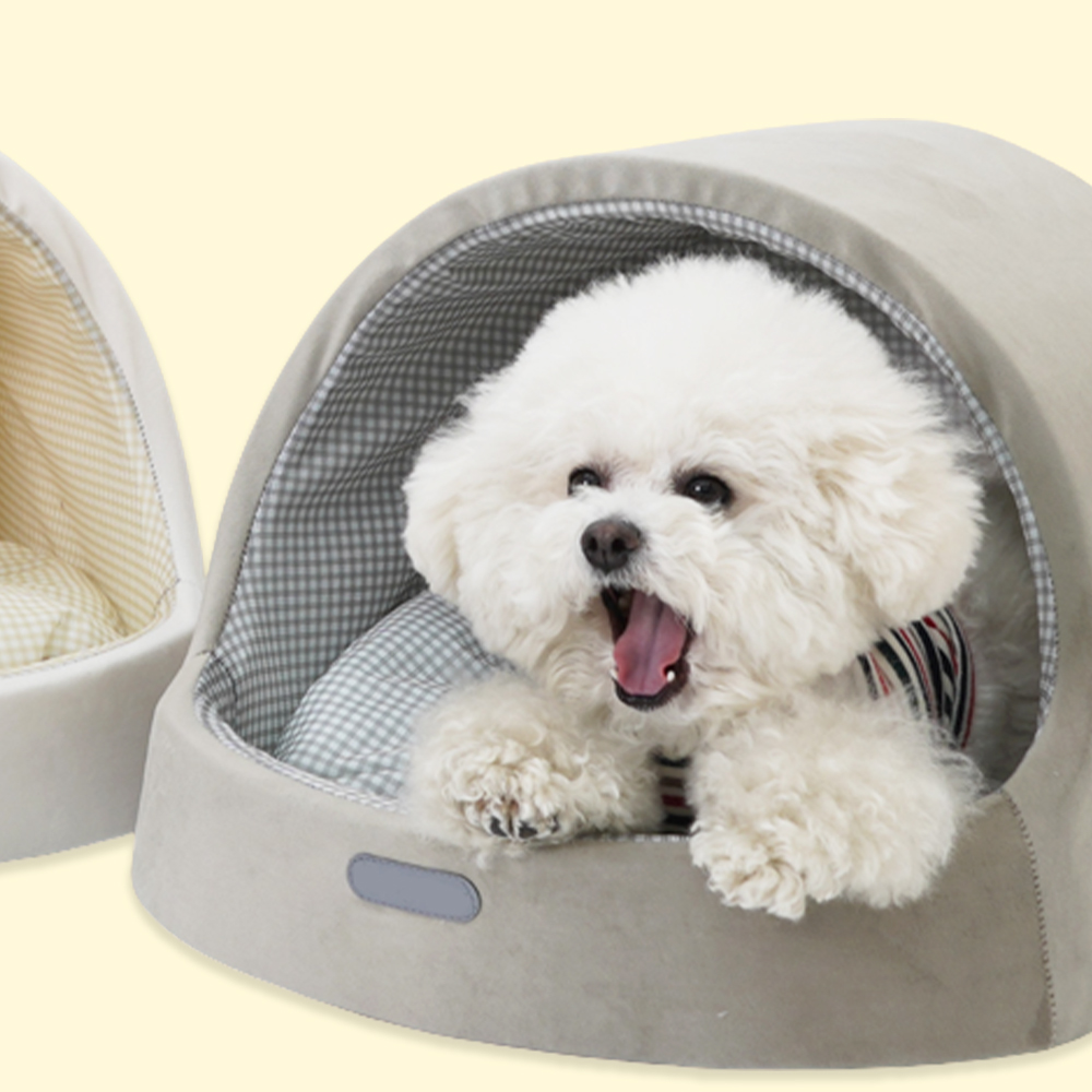 1692754807 thumbnail