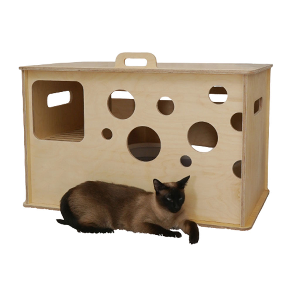 1692754808 thumbnail