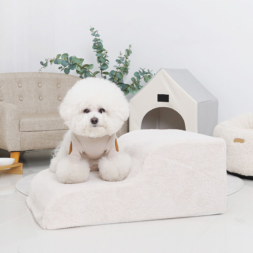 1692754809 thumbnail