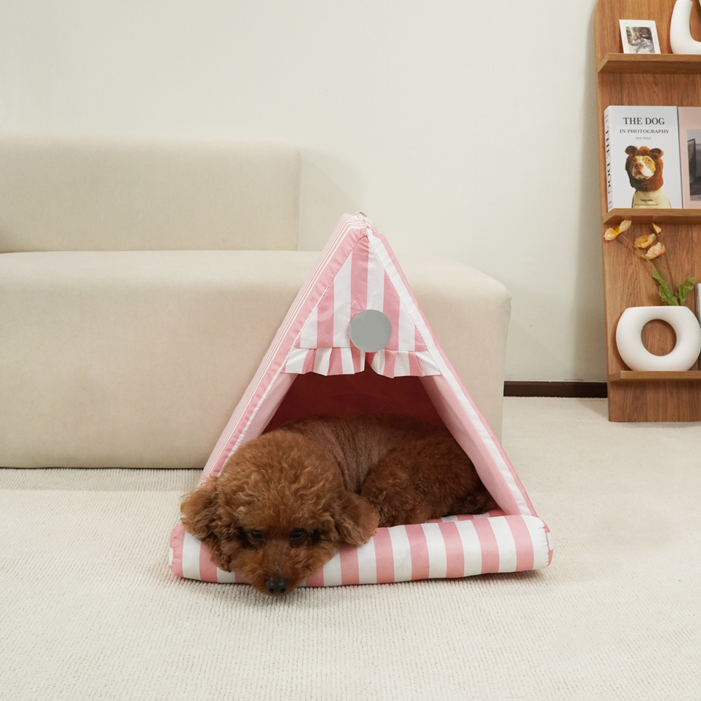 1692754813 thumbnail