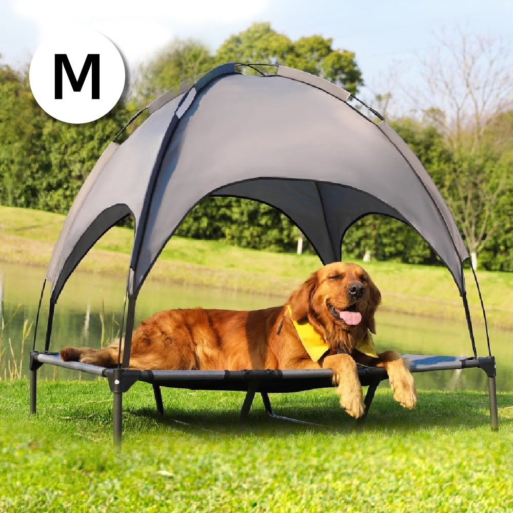 1692754814 thumbnail