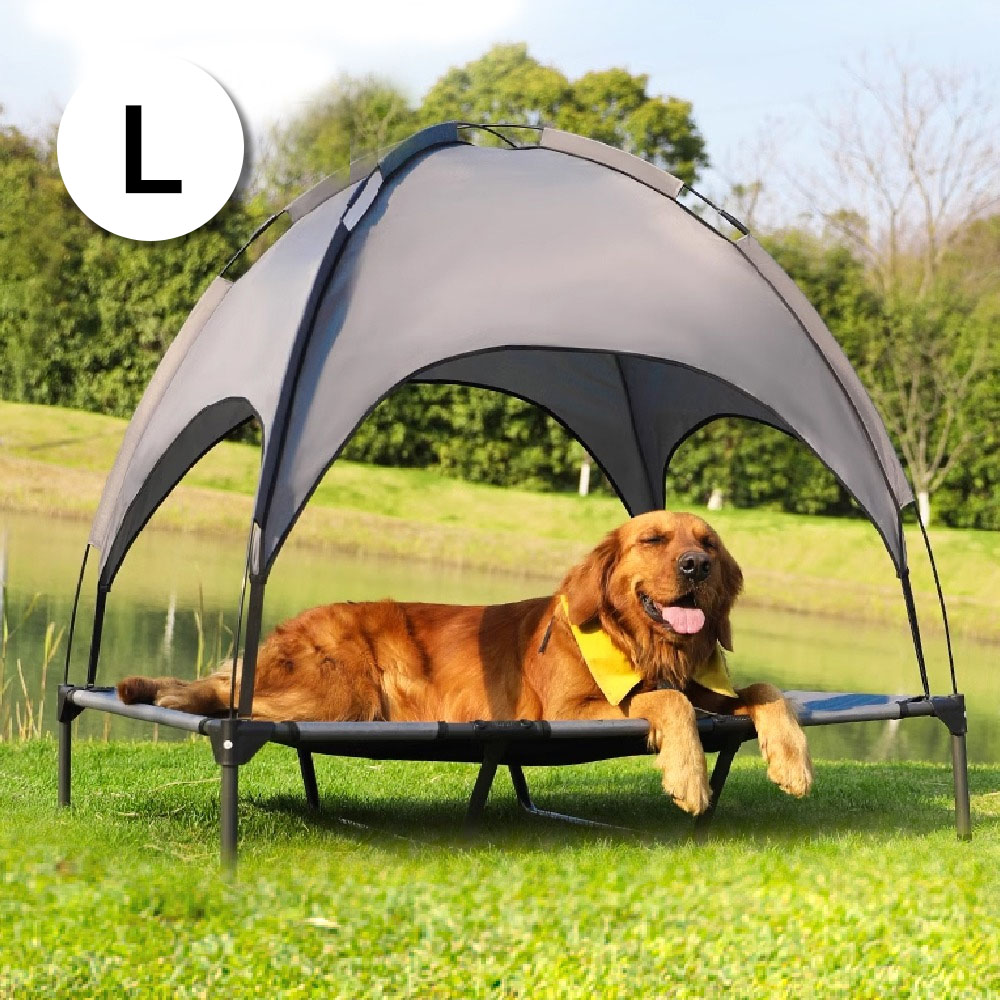 1692754815 thumbnail