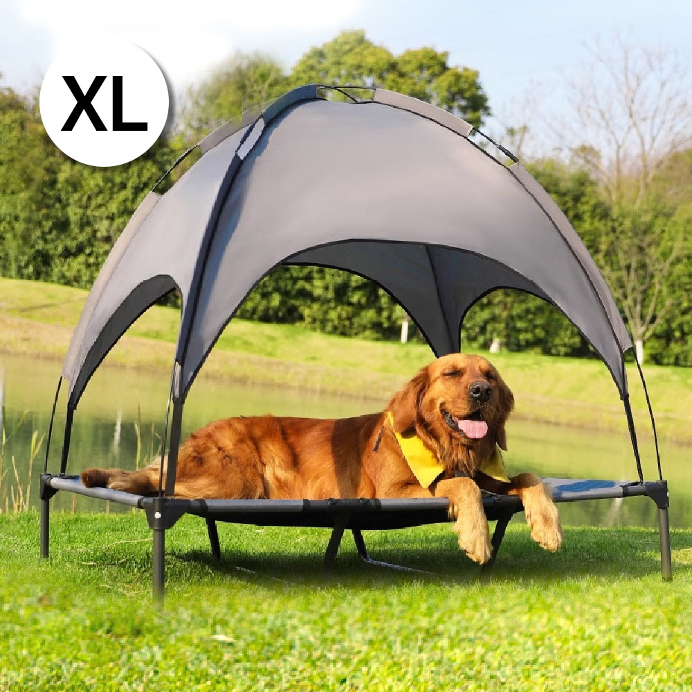 1692754816 thumbnail