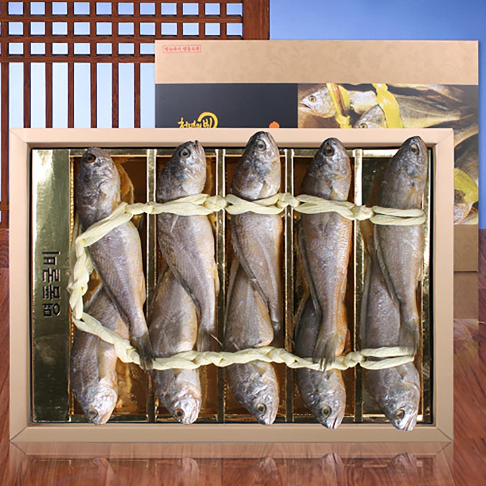 1692771955 thumbnail