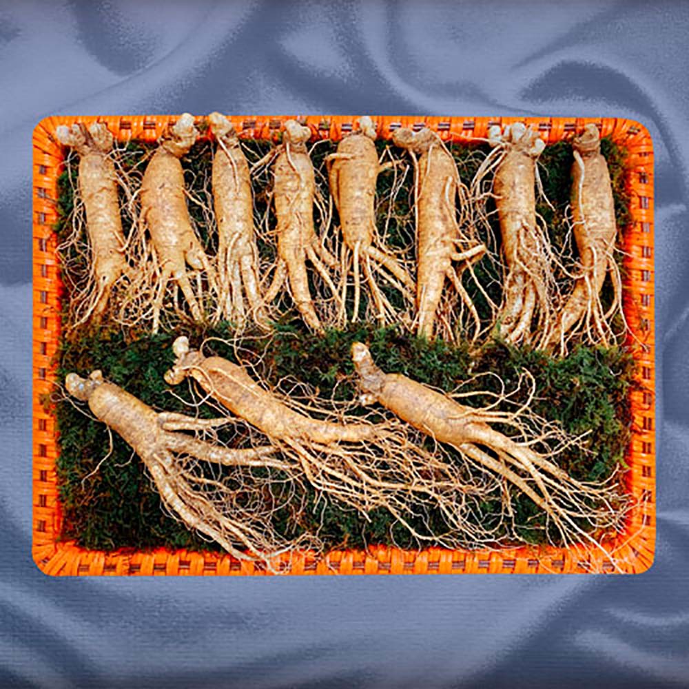 1692771996 thumbnail