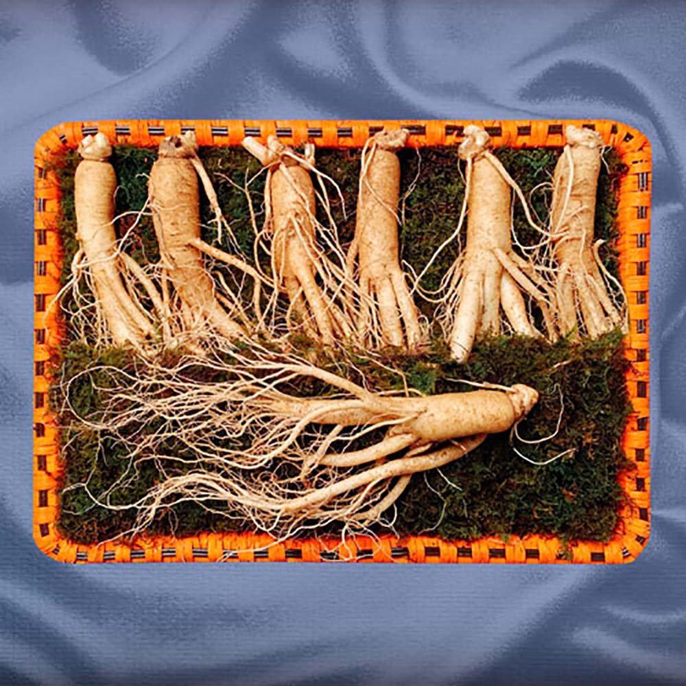 1692771997 thumbnail