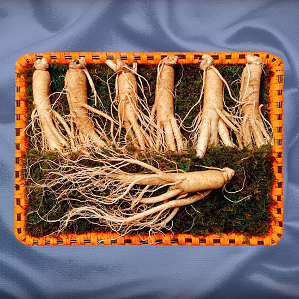 1692864585 thumbnail