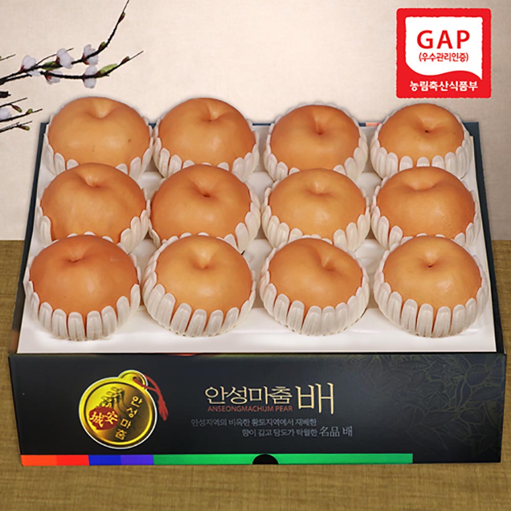 1692864631 thumbnail