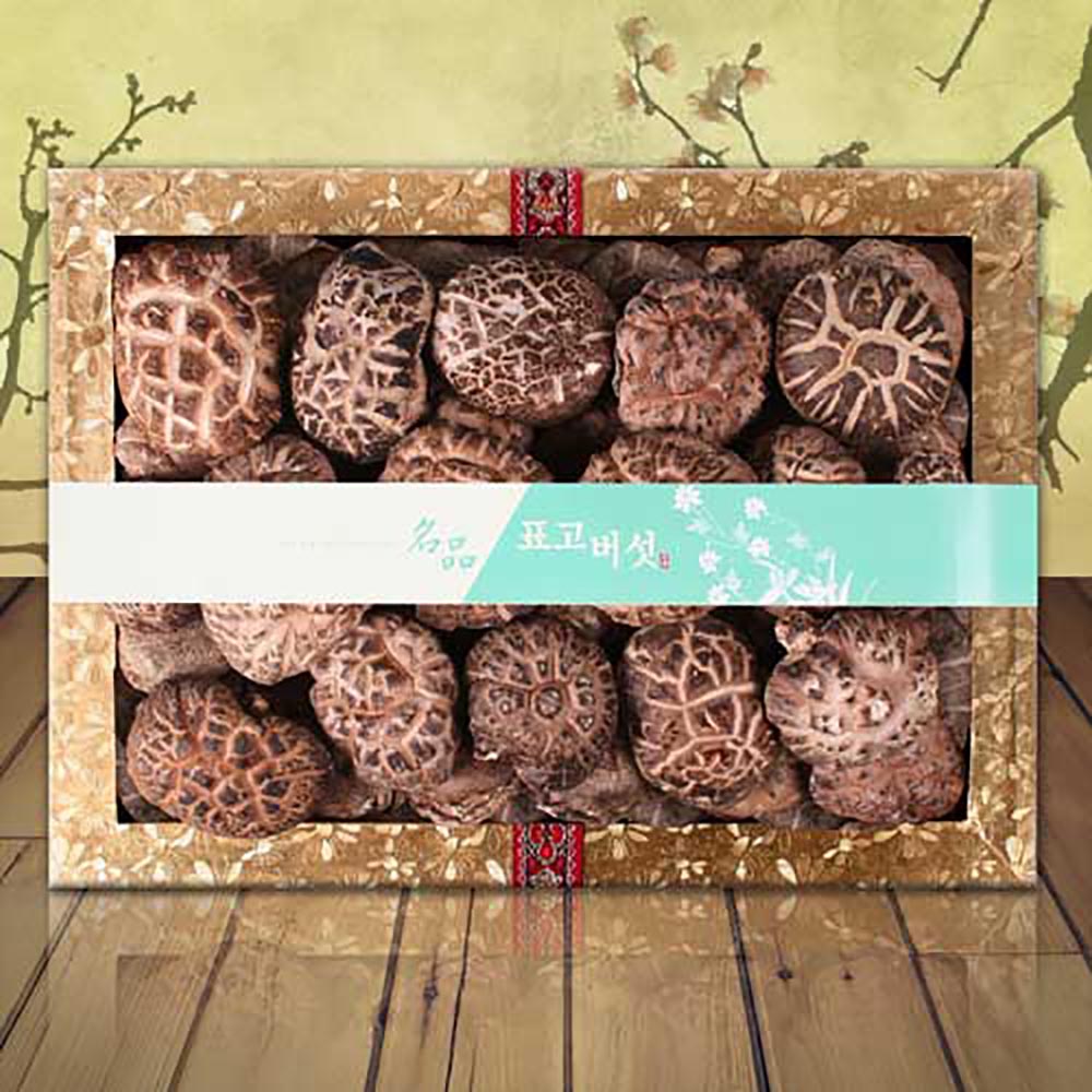 1692864673 thumbnail