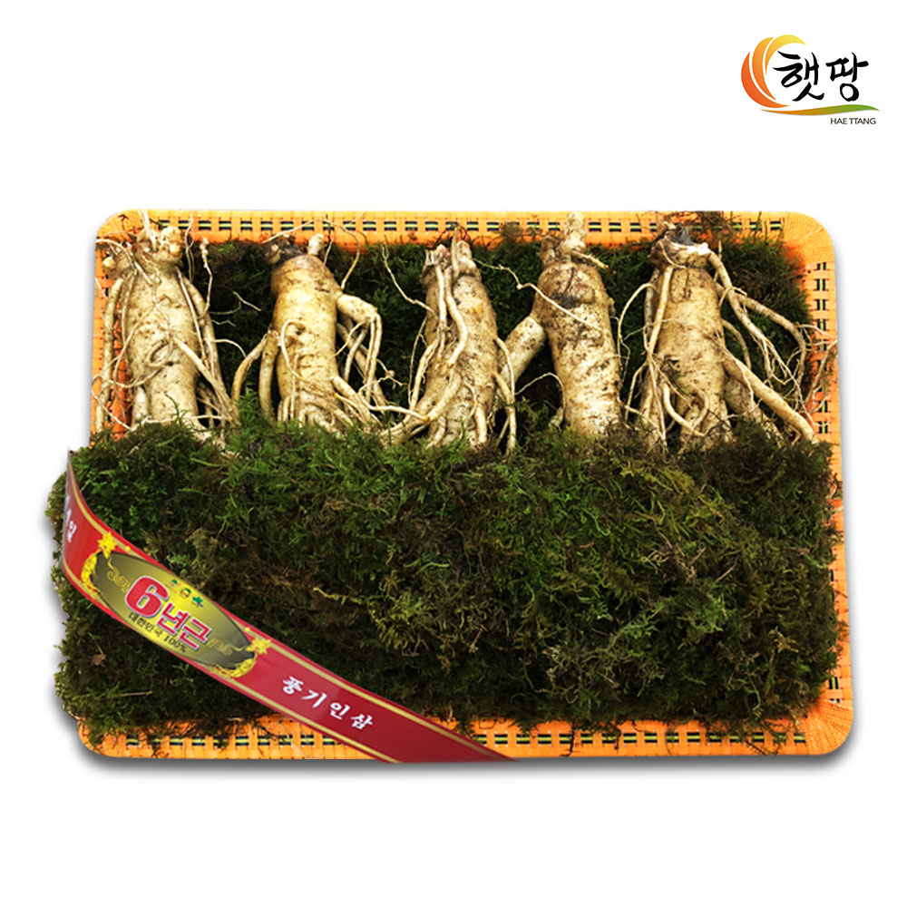 1693211059 thumbnail