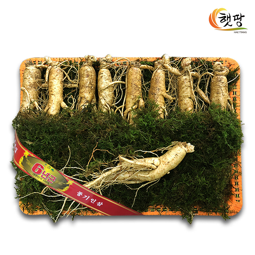 1693211060 thumbnail