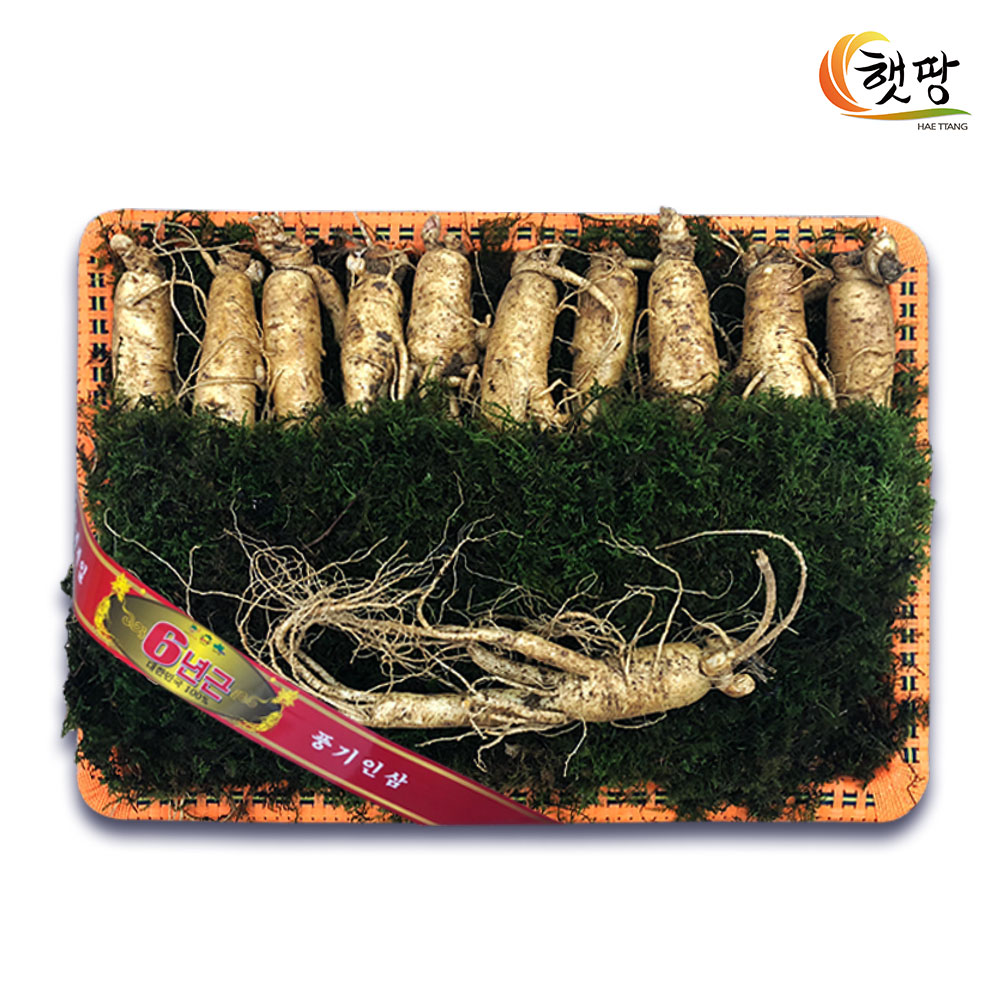 1693211061 thumbnail