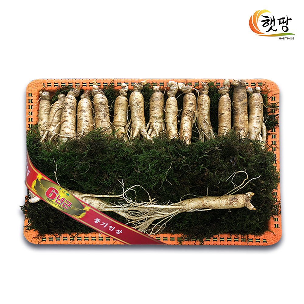 1693211062 thumbnail