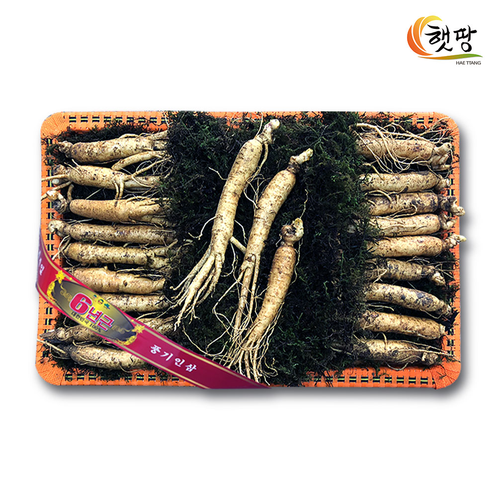 1693211063 thumbnail