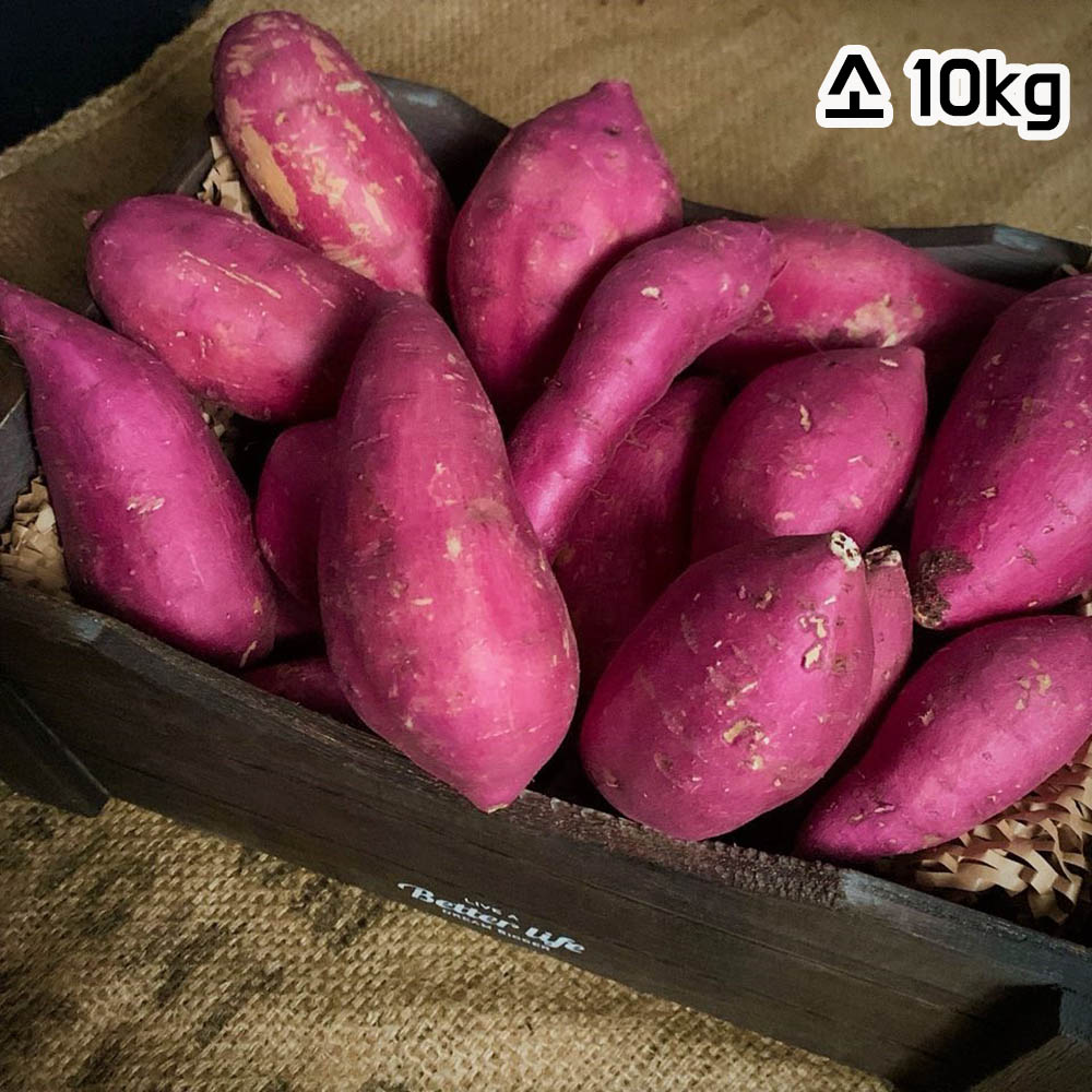 1693299452 thumbnail