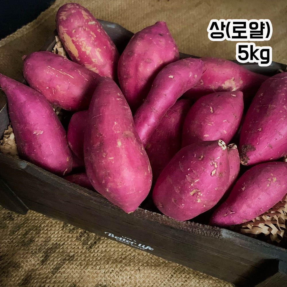 1693299455 thumbnail