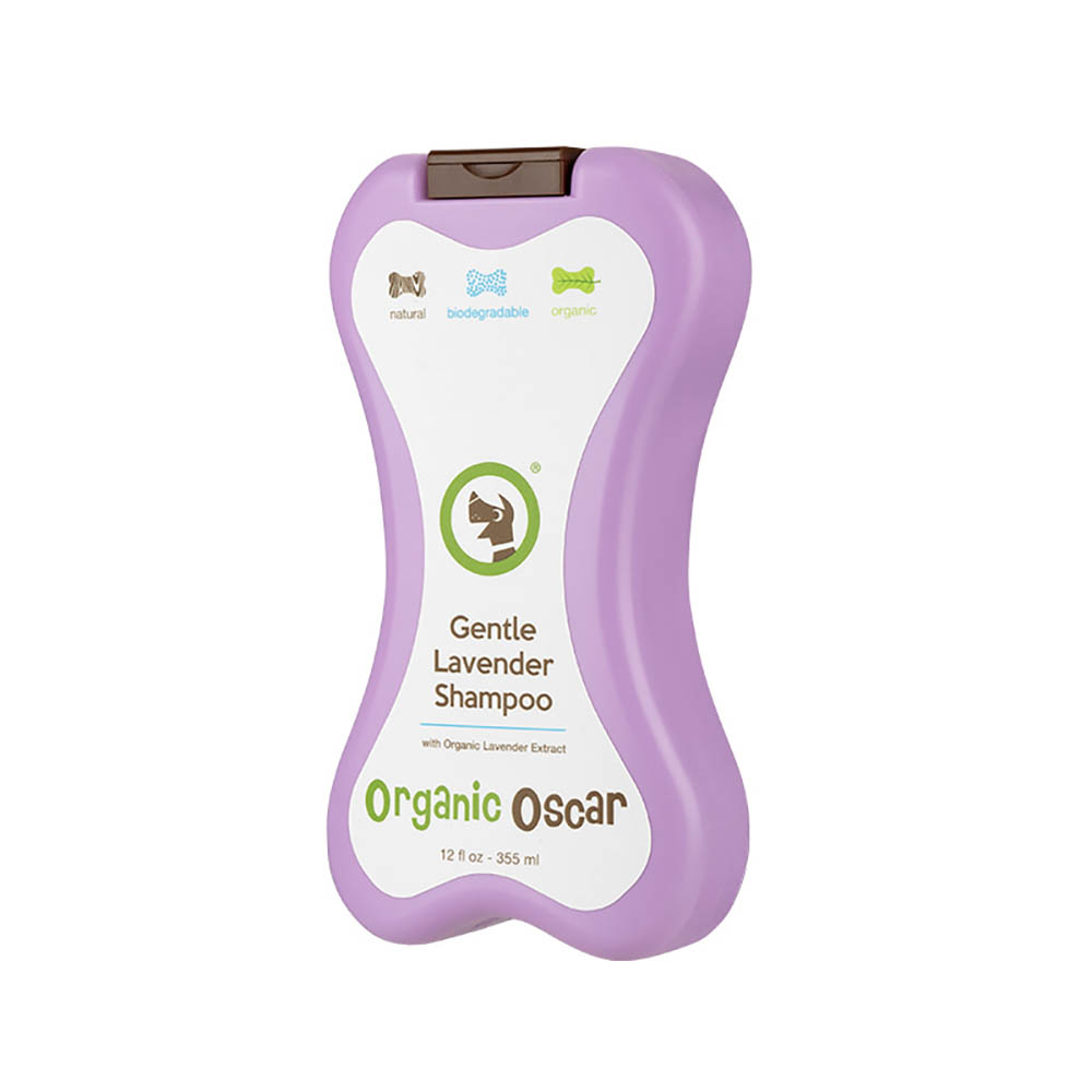 1693365026 thumbnail