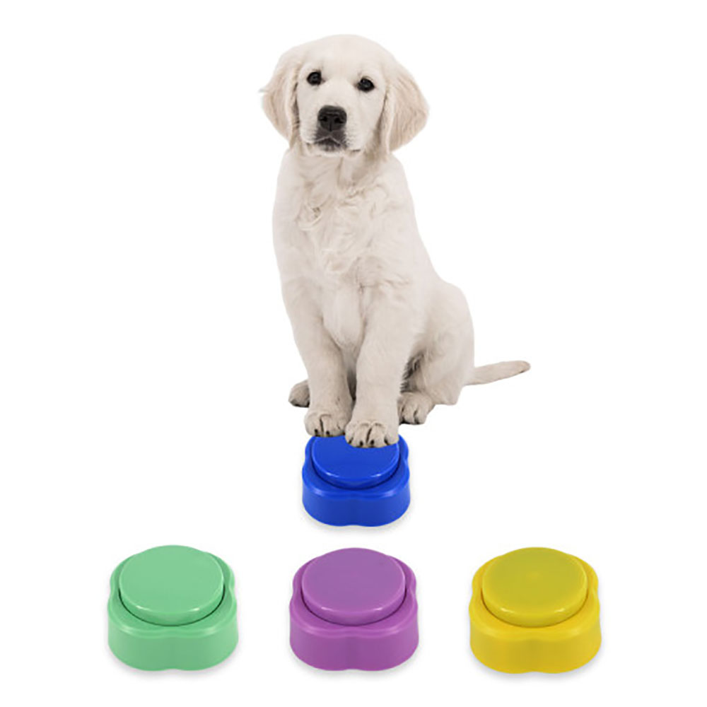 1693548741 thumbnail