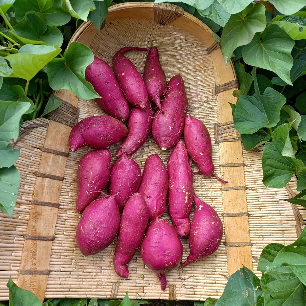 1693809806 thumbnail